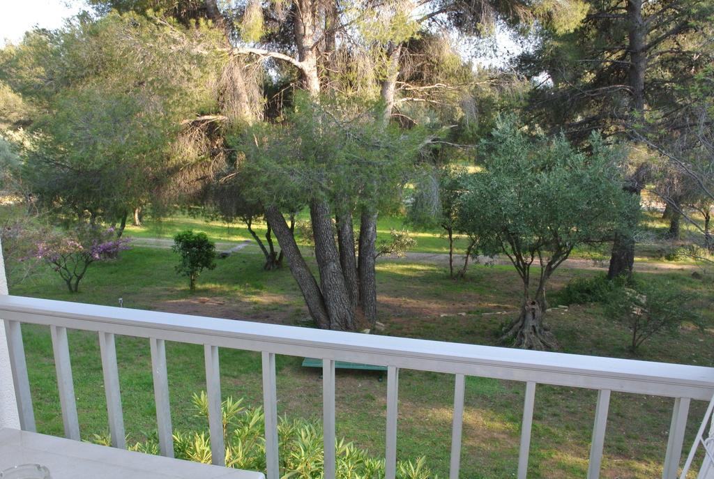 Le Domaine Des Oliviers Apartment แซ็งต์-ซีร์-ซูร์-แมร์ ห้อง รูปภาพ