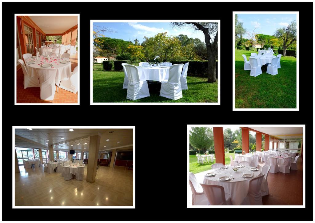 Le Domaine Des Oliviers Apartment แซ็งต์-ซีร์-ซูร์-แมร์ ภายนอก รูปภาพ