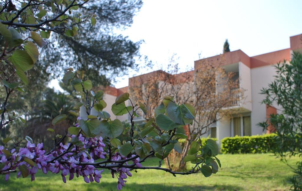 Le Domaine Des Oliviers Apartment แซ็งต์-ซีร์-ซูร์-แมร์ ภายนอก รูปภาพ