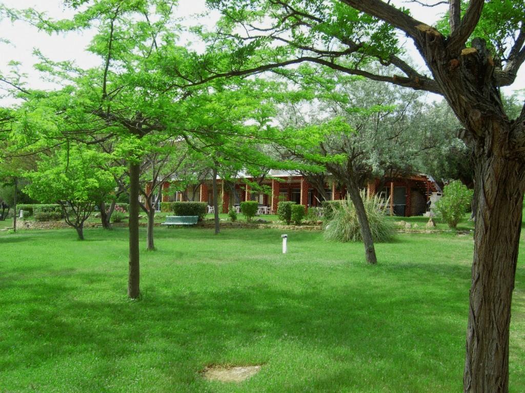 Le Domaine Des Oliviers Apartment แซ็งต์-ซีร์-ซูร์-แมร์ ภายนอก รูปภาพ